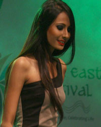 North East Design Fest 2013