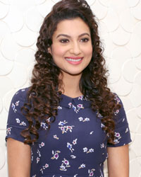 Gauhar Khan at Gauhar Khan Promotes IRS