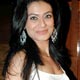 Payal Rohatgi at the Music release of 36 China Town