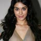 Adah Sharma at Adah Sharma Photo Shoot