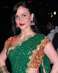 Elli Avram at Arpita Khan Wedding Reception