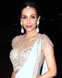 Malaika Arora at Arpita Khan Wedding Reception