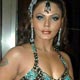 Rakhi Sawant at Bright Advertising Anniversary