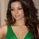 Shama Sikander at Salaam-E-Comedy Awards