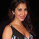 Sophie Choudhary at Dia Mirza-Zayed Khan Bash