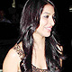 Sophie Choudhary at Fardeen-Natasha Marriage Anniversary