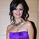 Roshni Chopra at Gitanjali Bollywood Night