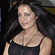 Celina Jaitley at I Hate Luv Story Screening