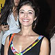 Pooja Batra at I Hate Luv Story Screening