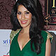 Sophie Choudhary at IIFA Fashion-Cricket Extravaganza