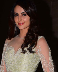 Mandana Karimi at Mandana Karimi and Gaurav Wedding Reception