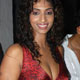 Sandhya Shetty at Marie Claire Bash