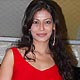 Payal Rohatgi at Mr and Mrs Mishra Launch