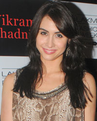 Lauren Gottlieb