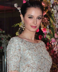 Evelyn Sharma at Neil Nitin Mukesh Wedding Reception