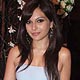 Mrinalini Sharma at Ramesh Taurani Wedding Anniversary