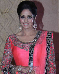 Sridevi at Riddhi and Tejas Wedding Reception