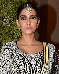 Sonam Kapoor at Saudamini and Siddharth Wedding Reception