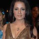 Celina Jaitley at Screen Awards Red Carpet