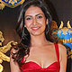 Karishma Tanna at Shilpa Launches Royalty