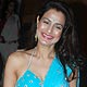 Amisha Patel at Shilpa-Raj Wedding Reception