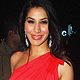 Sophie Choudhary at Sohail Khan Birthday Bash