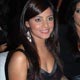 Neetu Chandra at Summer 2007 First Look