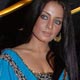 Celina Jaitley at Welcome to Sajjanpur Premiere