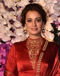 Dia Mirza and Sahil Sangha