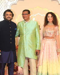 Anant Ambani Radhika Merchant Wedding