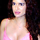 Sushma Reddy at Choclate celebrations party at Firangi Dhabba.