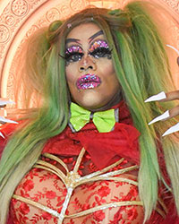 Drag star Tropical Marca