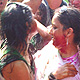 Colors Holi