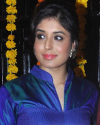 Ekta Kapoor Diwali Bash 2013