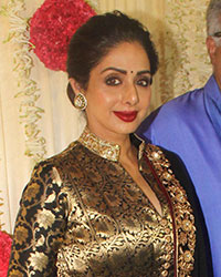 Sridevi and Boney Kapoor