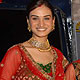 Harmeet Gulzar Wedding Bash