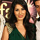 IIFA Fashion-Cricket Extravaganza