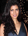 Karan Johar Birthday Party-2012