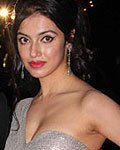 Karan Johar Birthday Party-2012