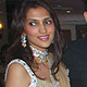 Neelam-Sameer Wedding Reception