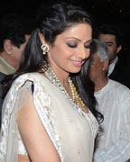 Sahara Pariwar Bash for Sridevi