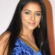 Asin unveils Aamir`s paintings by Salman Khan