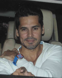 Dino Morea