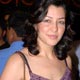 Aditi Govitrikar at Spiderman 3 Premiere