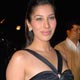 Sophie Choudry