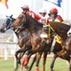 CN Wadia Derby at Mahalakshmi Race Course