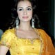 Dia Mirza at Zayed Khan`s marriage