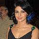 Priyanka Chopra at Alert India Istituti CallegariDinner