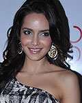 Shazahn Padamsee at Ave 29 Opening