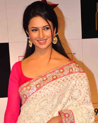 Divyanka Tripathi at Big Star Entertainment Awards 2014